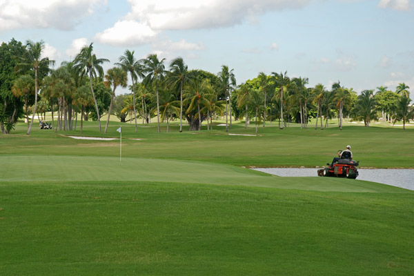 Golf Course Maintenance | Grass Hibernation