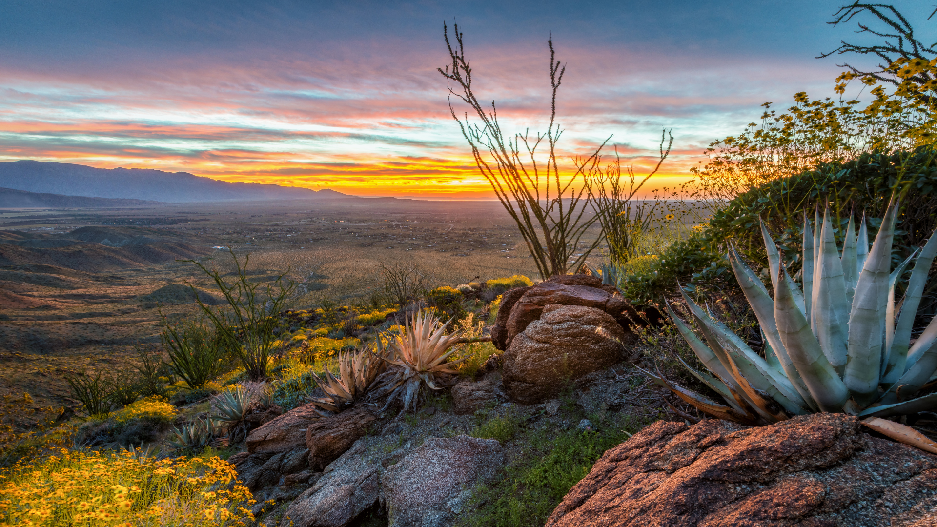 Gold in the Anza-Borrego Desert