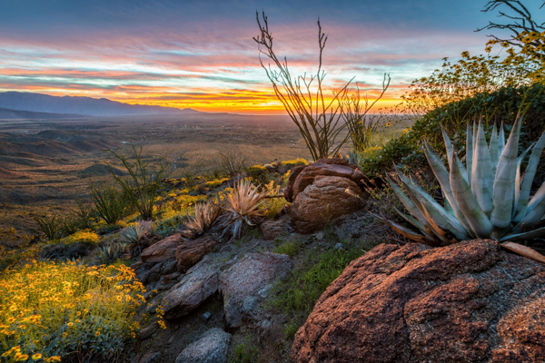 Santa Rosa Mountains | Hellhole Canyon