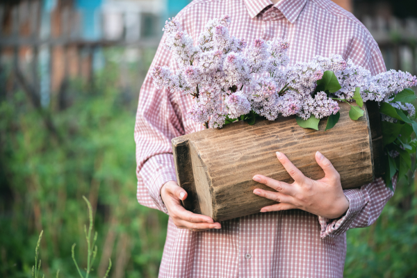 Lilac Festival