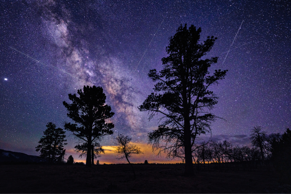 Lyrids Meteor Shower