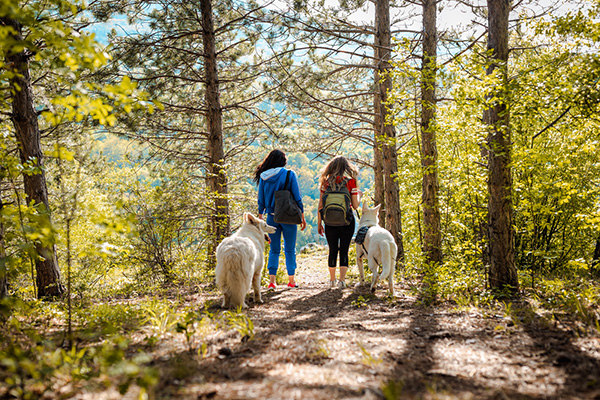 hiking trails for dogs